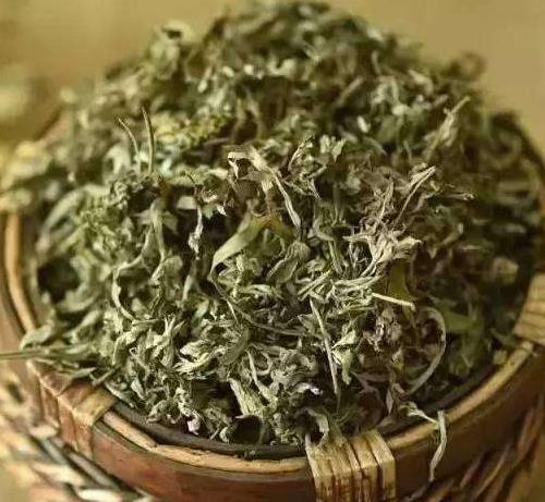 艾草追溯
