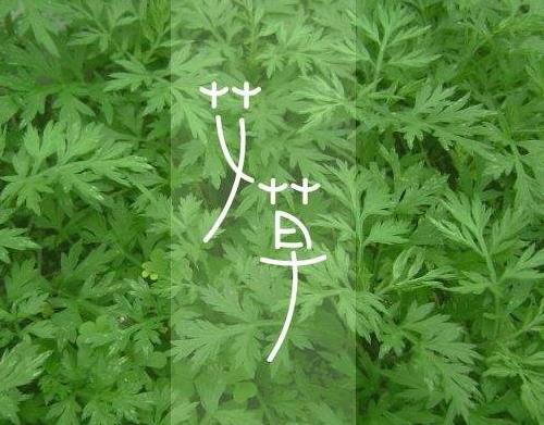 艾制品全程追溯