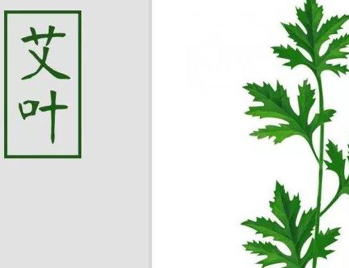 艾叶除湿效果最佳