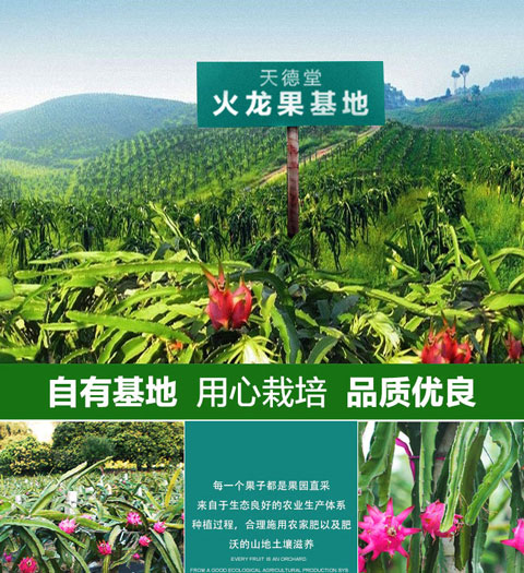 水果溯源案例