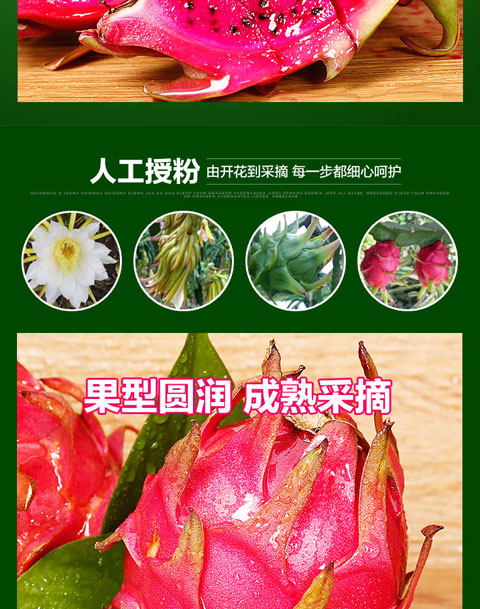 水果溯源案例
